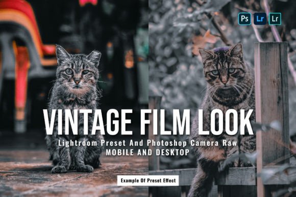 Download 15 Vintage Film Look Lightroom Presets - Vintage film Collection